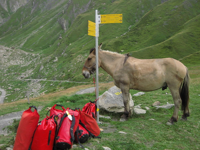 p2008 09mtblanc 0567