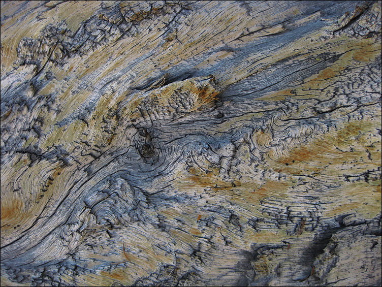 p2010 08 c 5381m